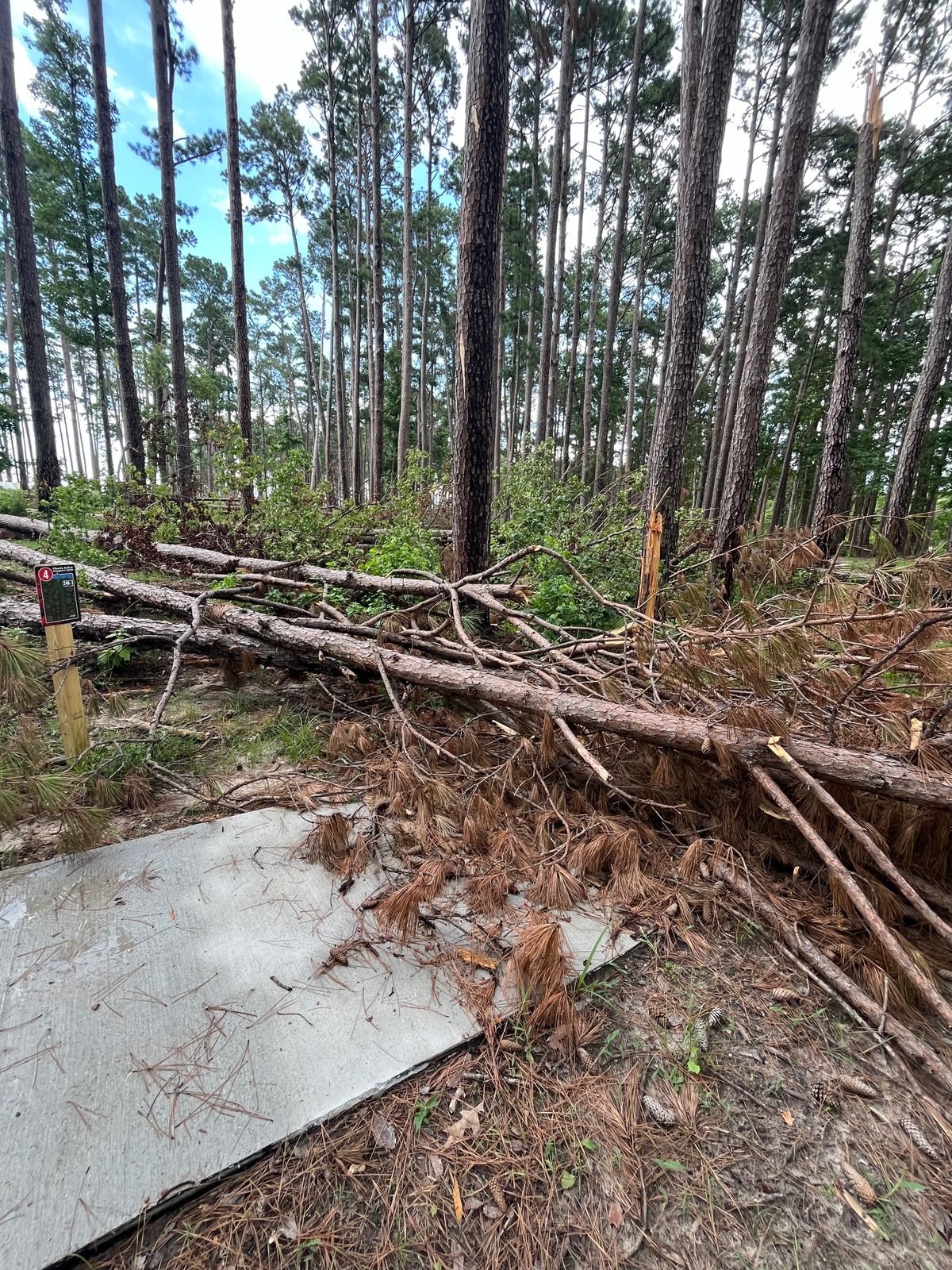 Debris.