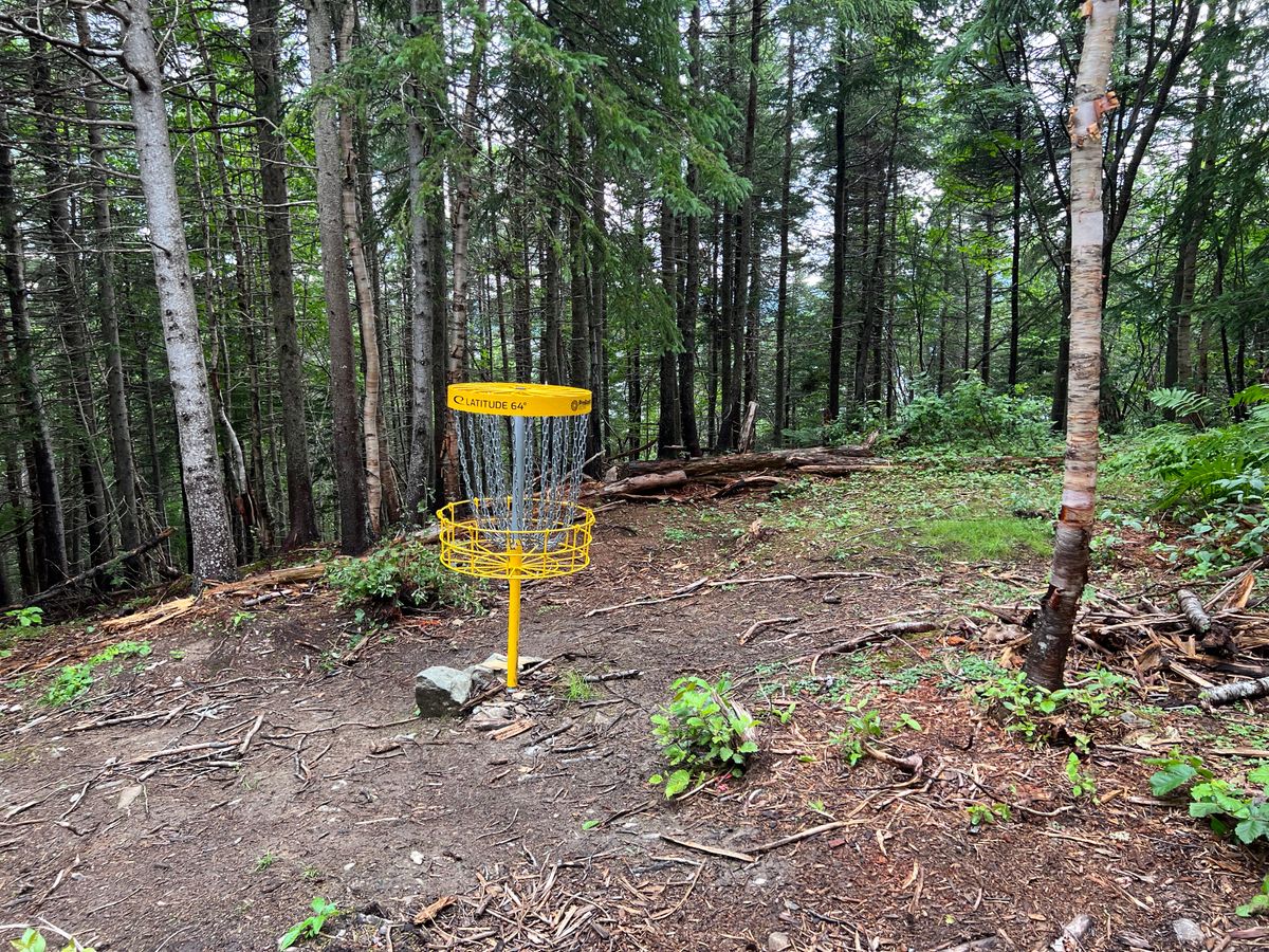 Hole 6 Tee