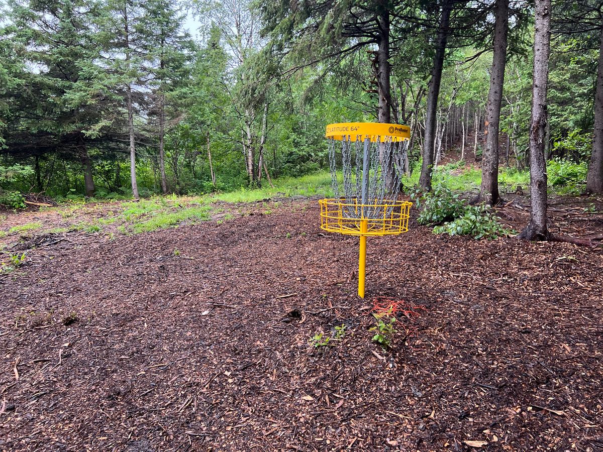 Hole 18 Basket