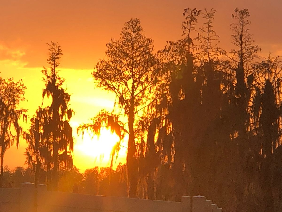 We have fantastic sunsets out back