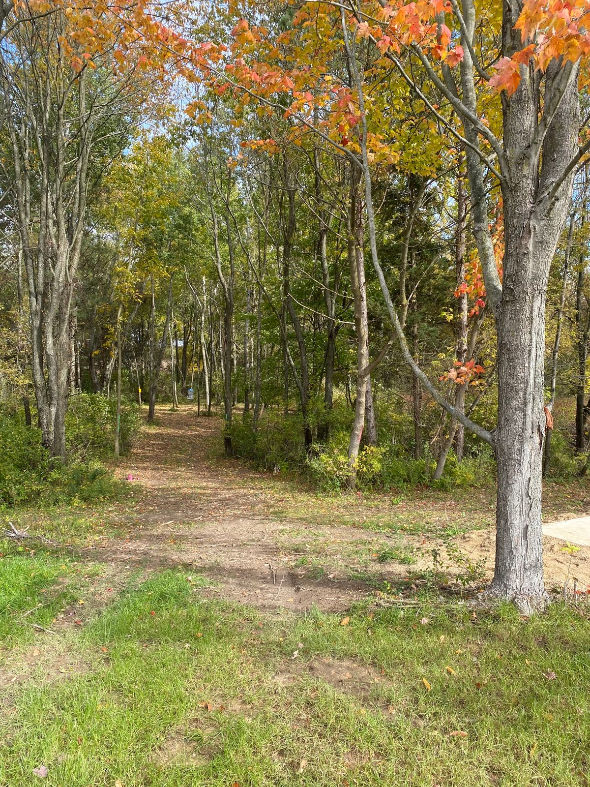 Hole 2 Basket from left of pad