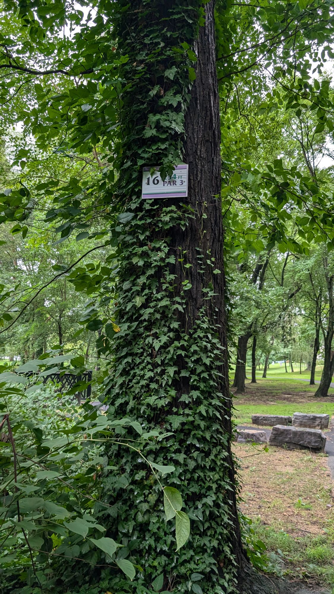 Hole 16 Tee (new sign)