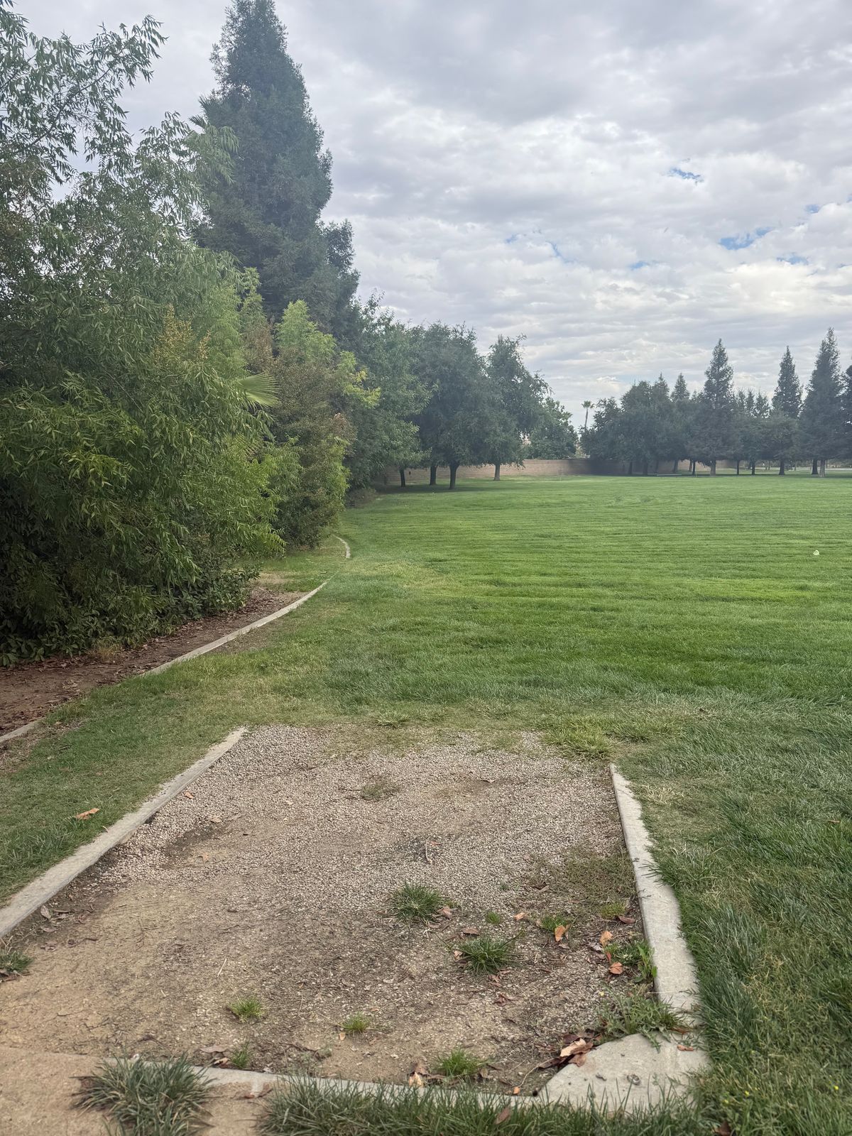 Hole 1 Tee pad