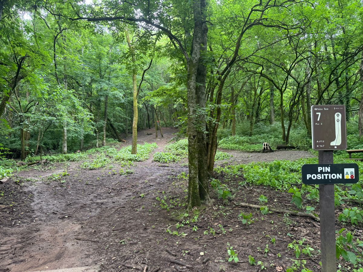 Tee hole #7