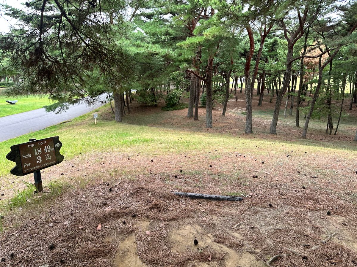 Hole 18