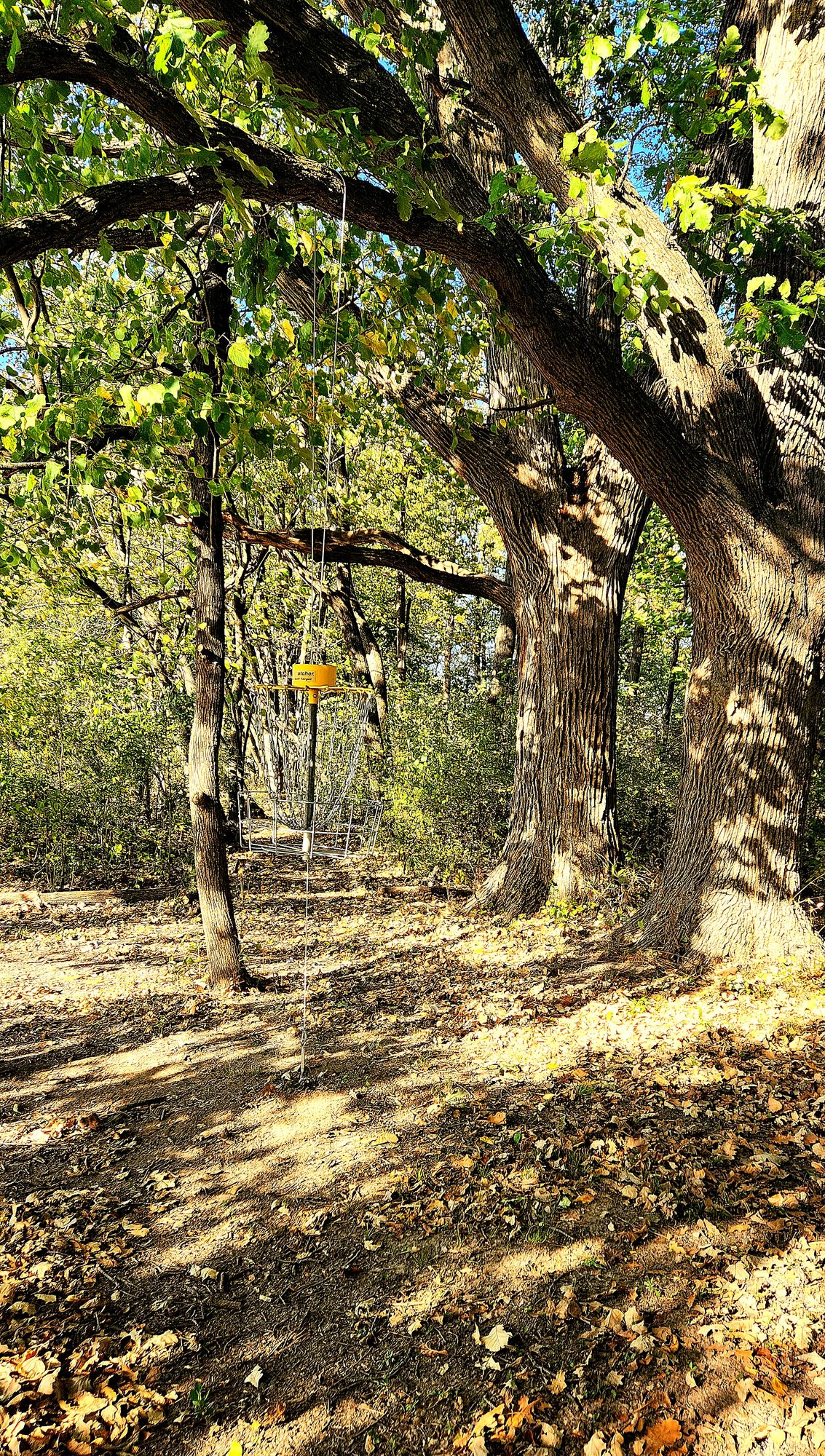 Hole 12 basket