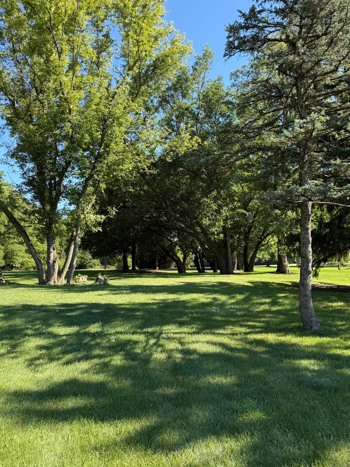 Tee 8 approach