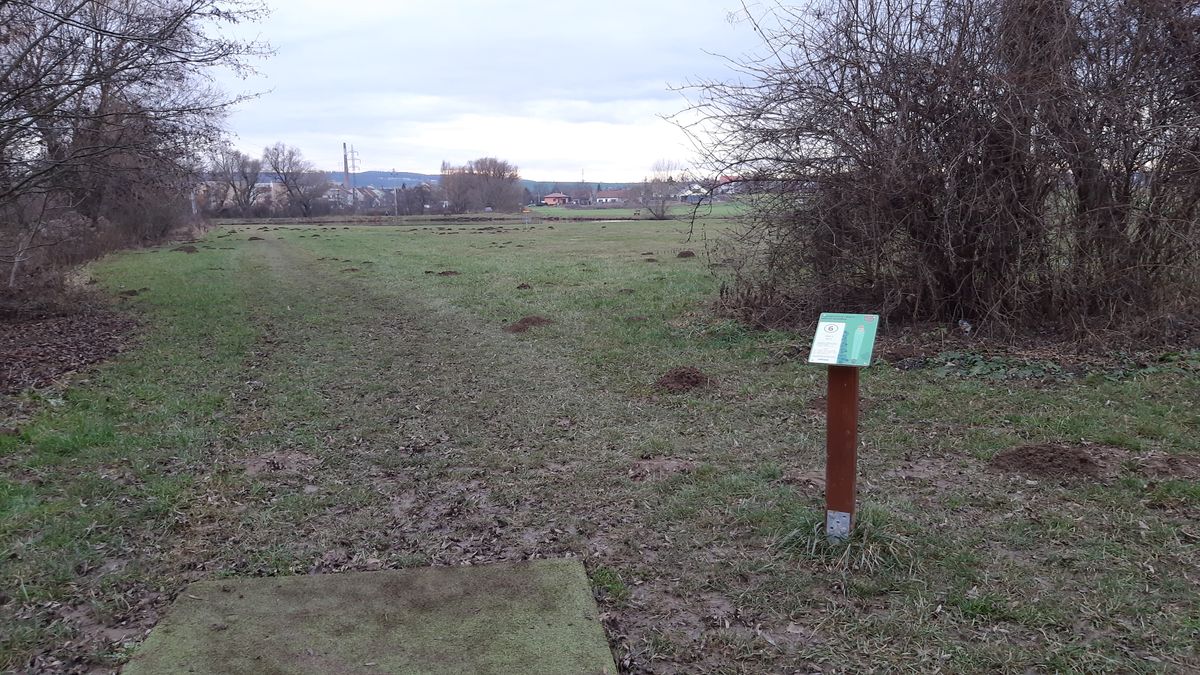 Jamka č. 6