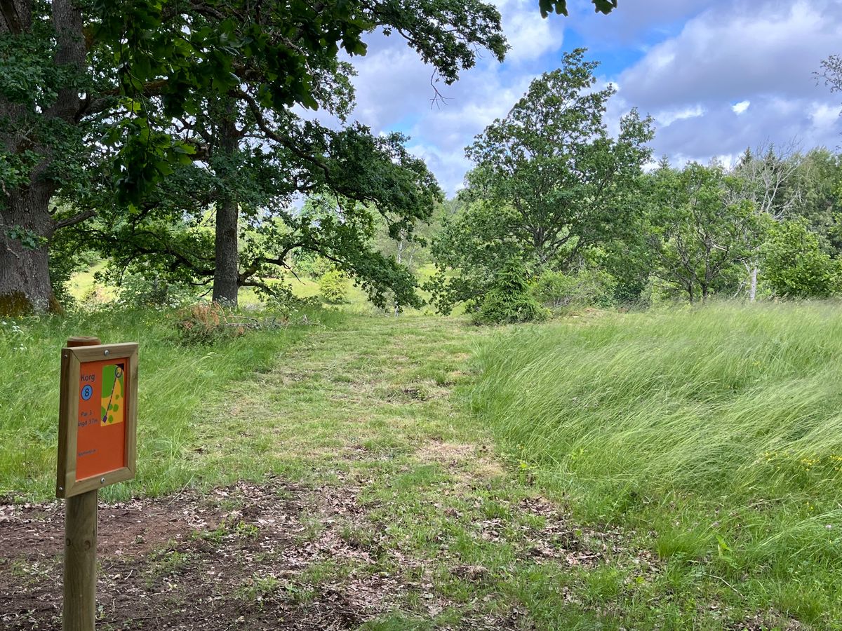 Tee 8