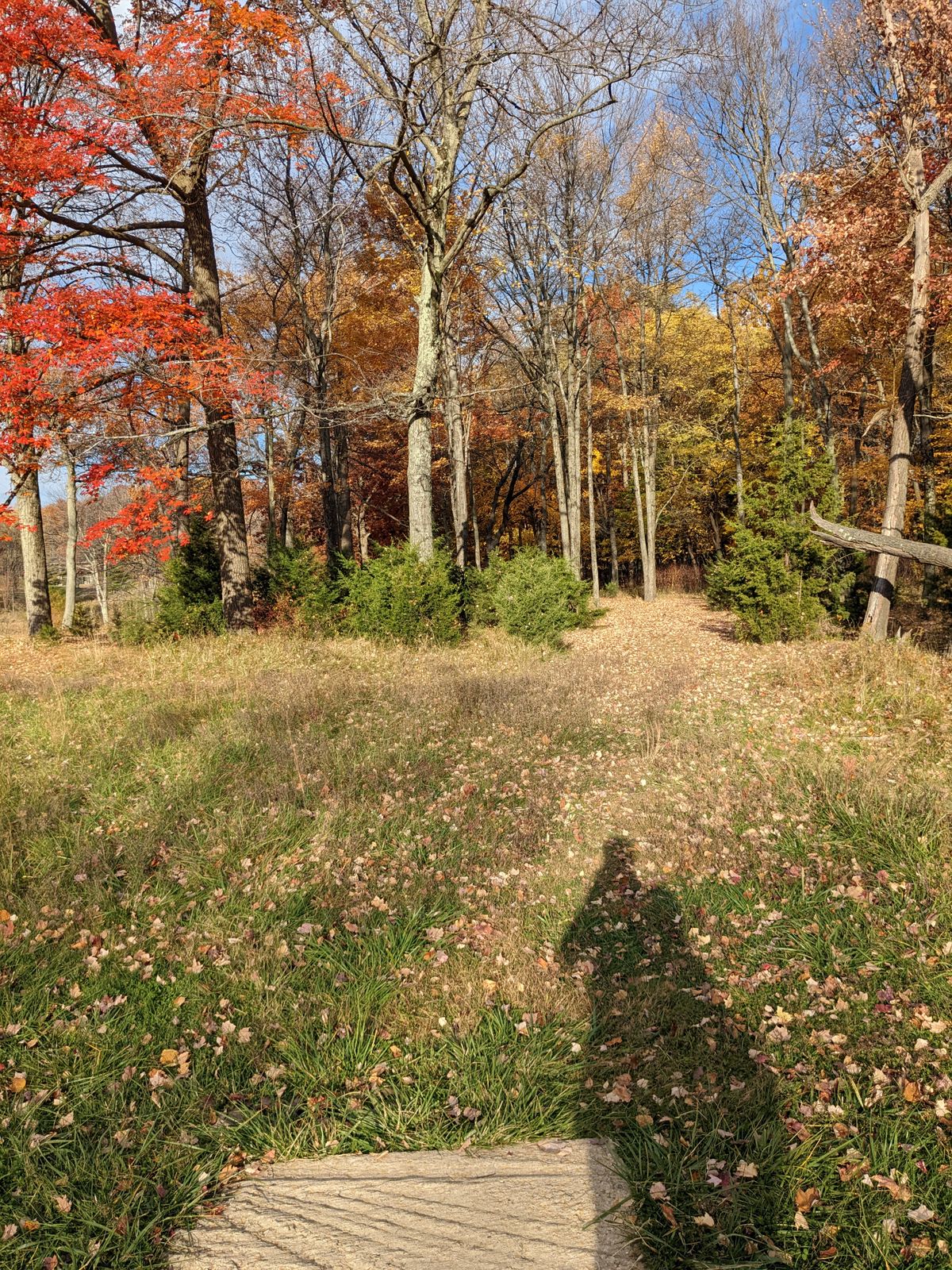 Hole 6 tee