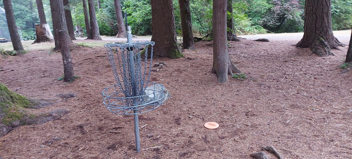 Putting on hole 1.🍁🪵🪵🪵🪵