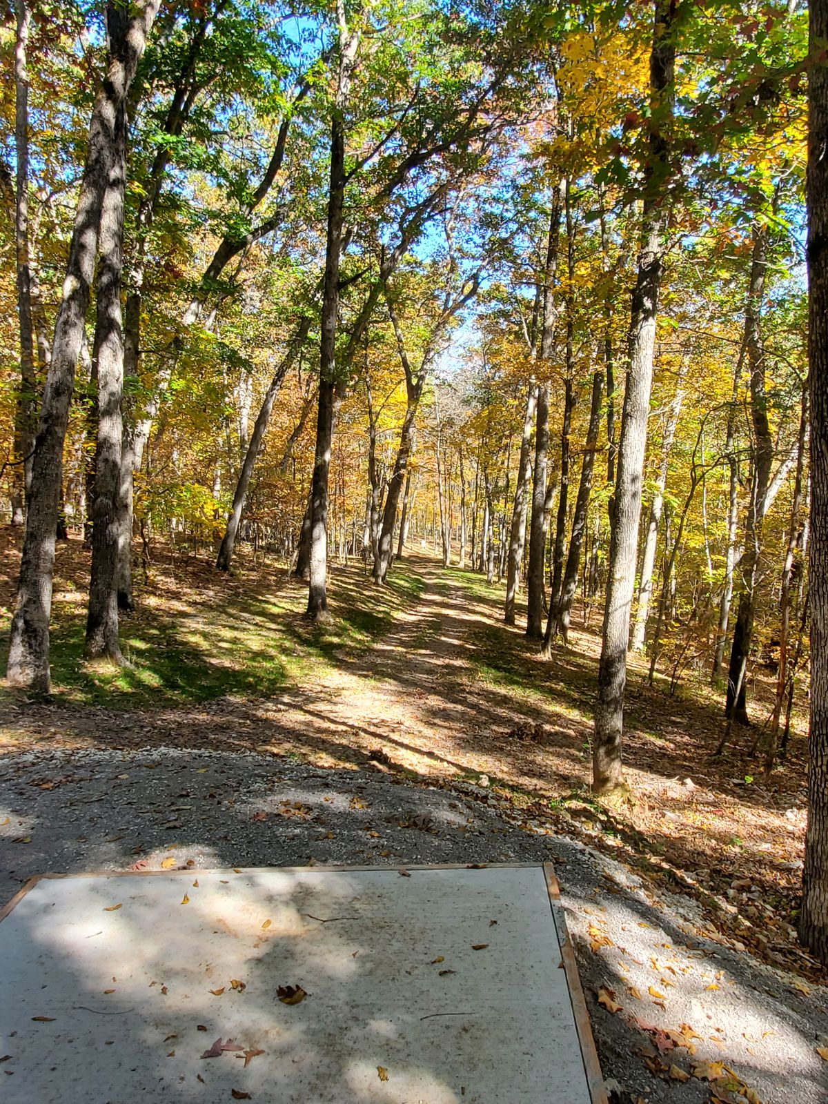 Hole 5