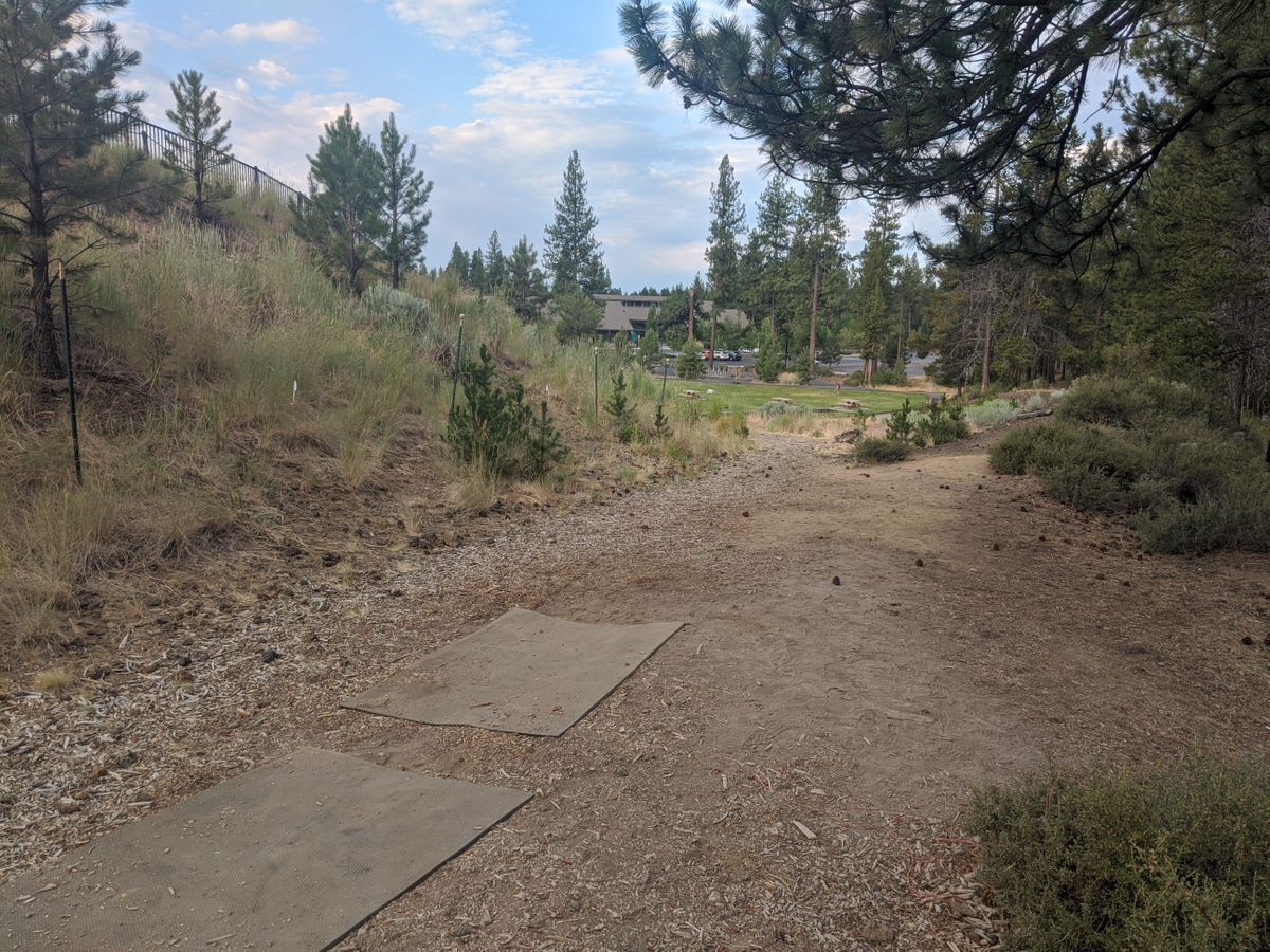 Hole #8 (down to left)