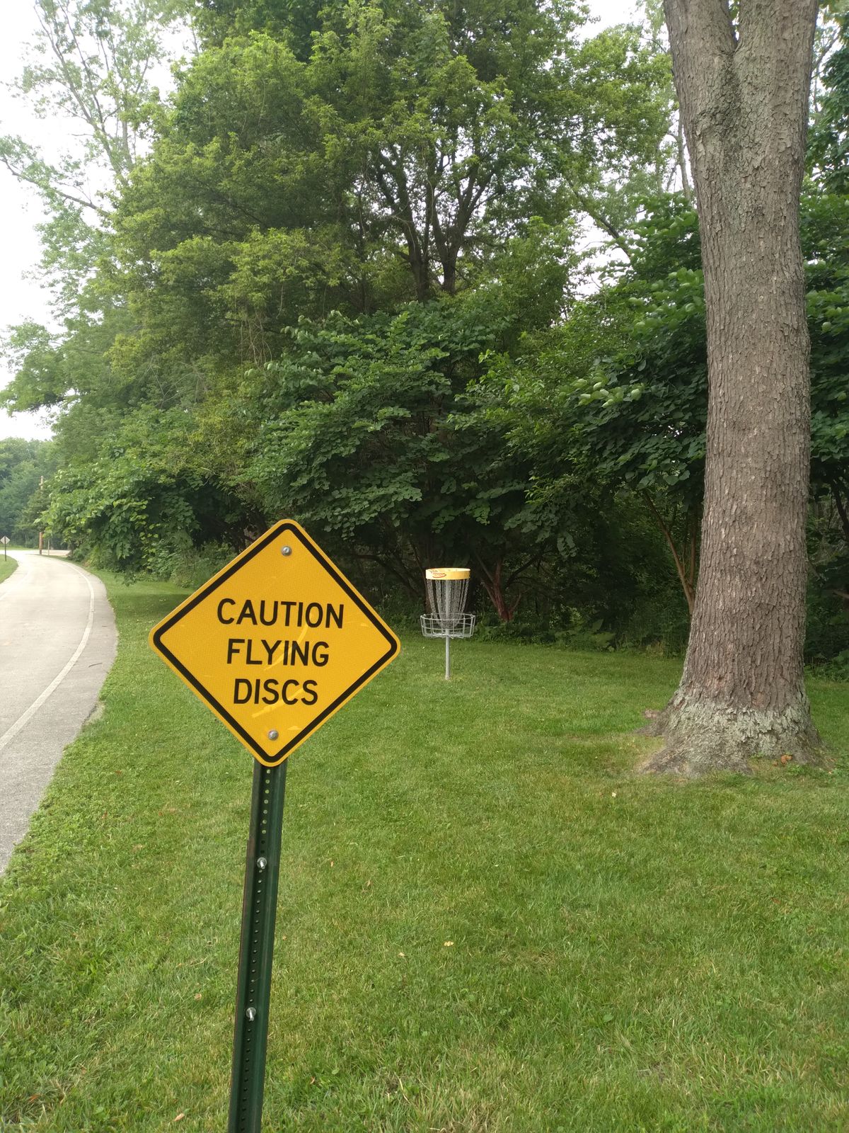 CAUTION ⚠️ Flying Discs ⚠️