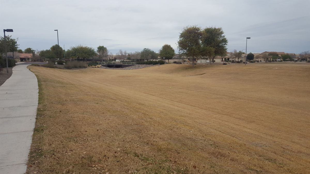 Hole 5 basket