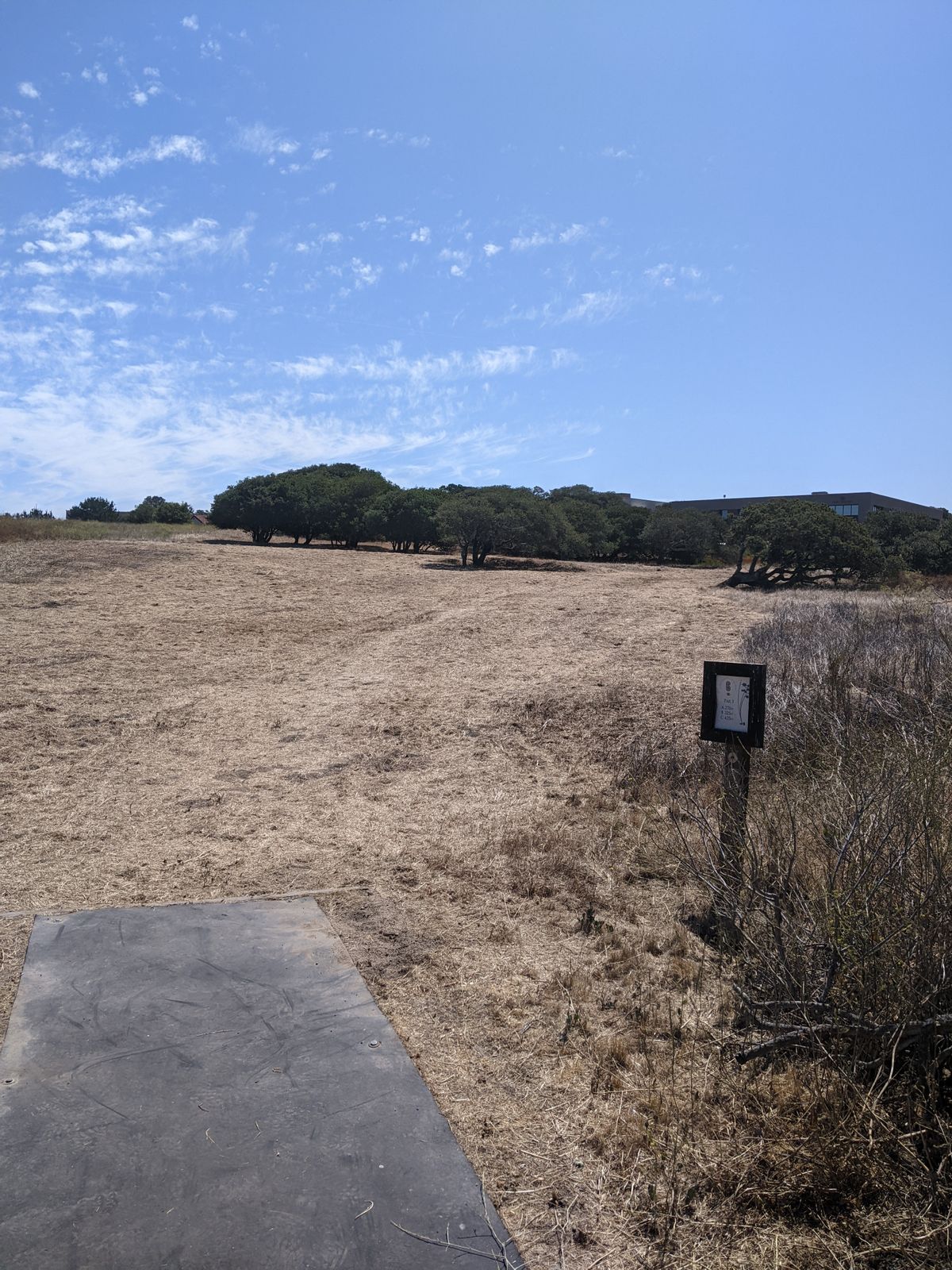 Tee pad when it's dry.