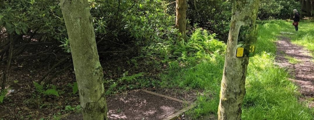 NE Disc Junkies Spring League 2023