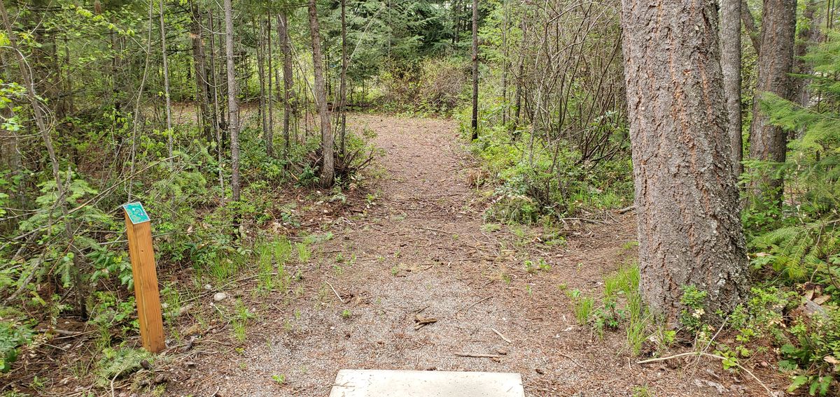 Tee Pad 4