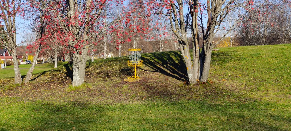 Green hole #6