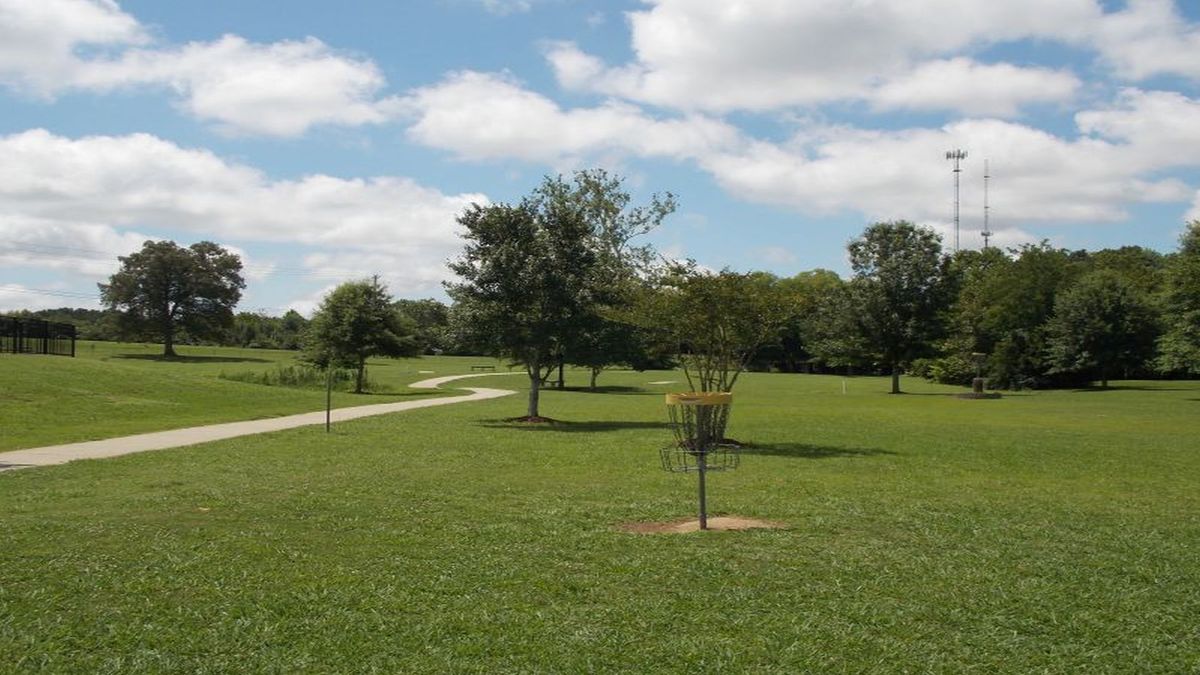 Hole 7 basket