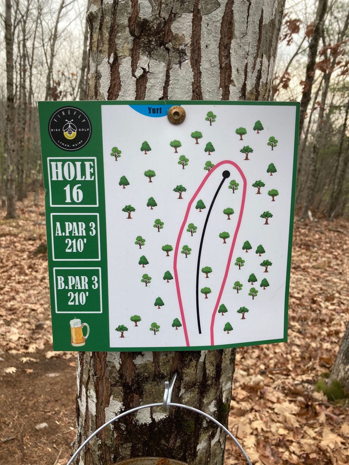 Hole 16- Aceable