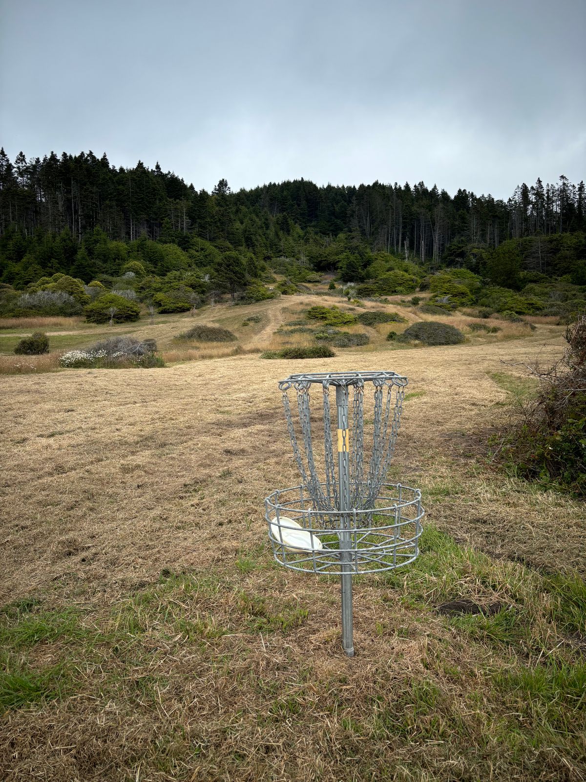 A lot of work has been recently done to the course.