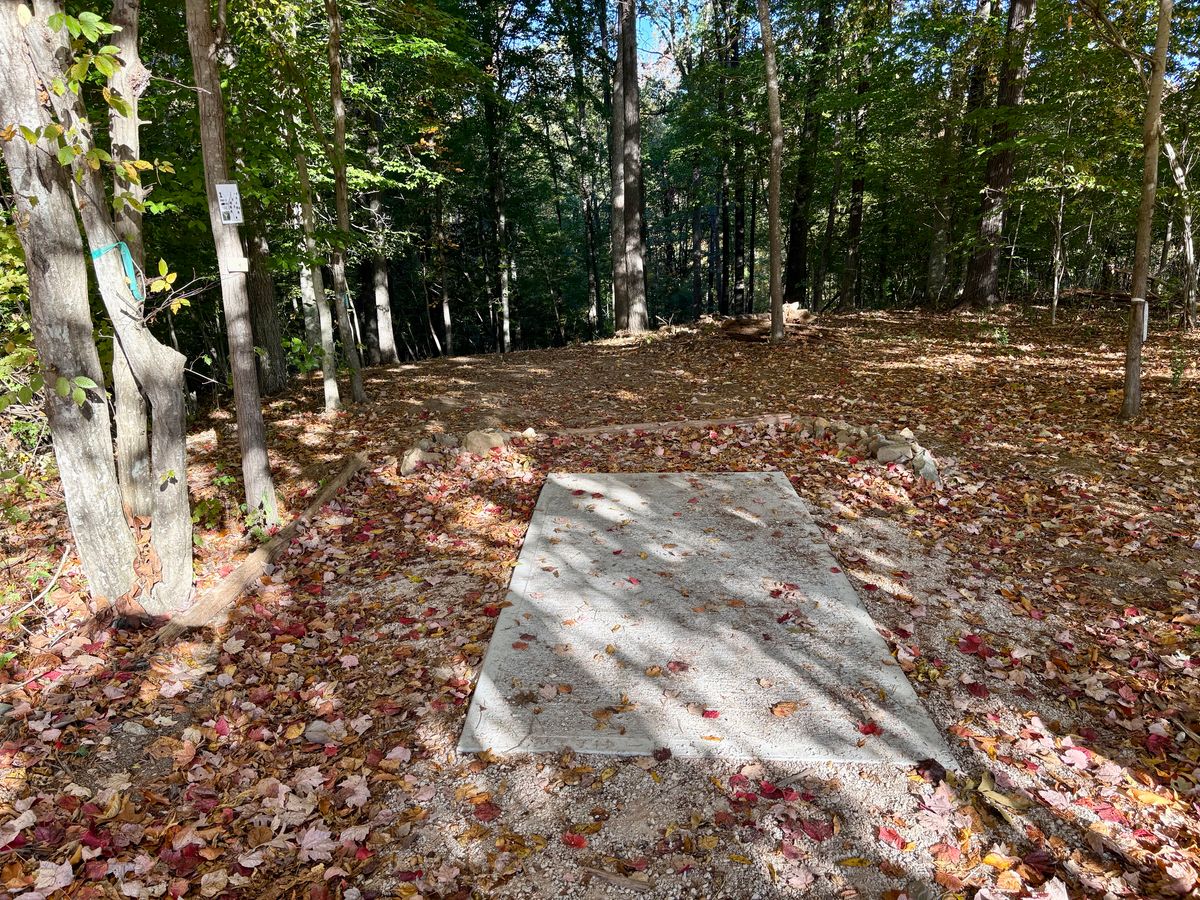 Hole 1 tee