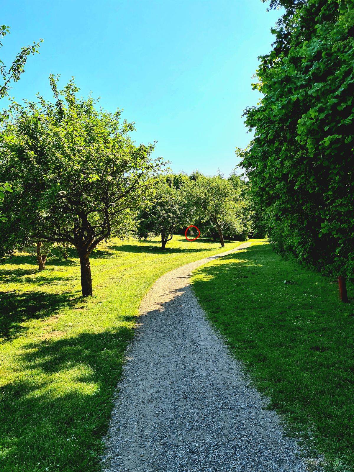 Hole 8, view from yellow tee