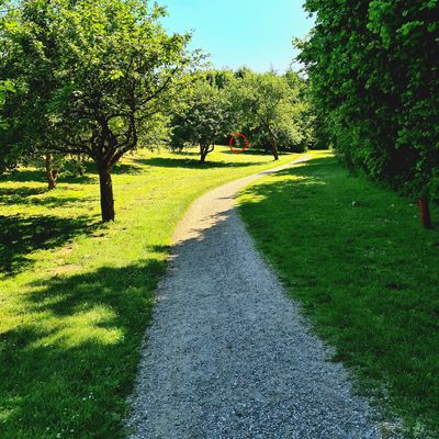 Hole 8, view from yellow tee