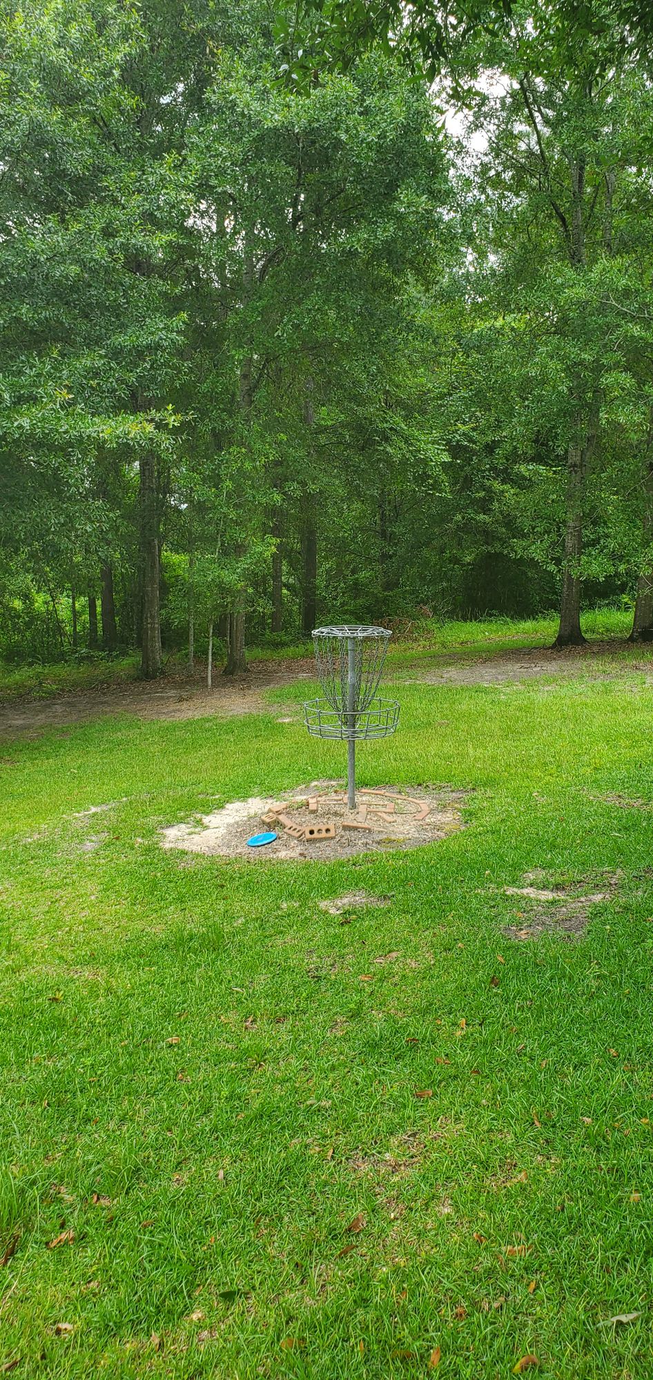 Hole #6