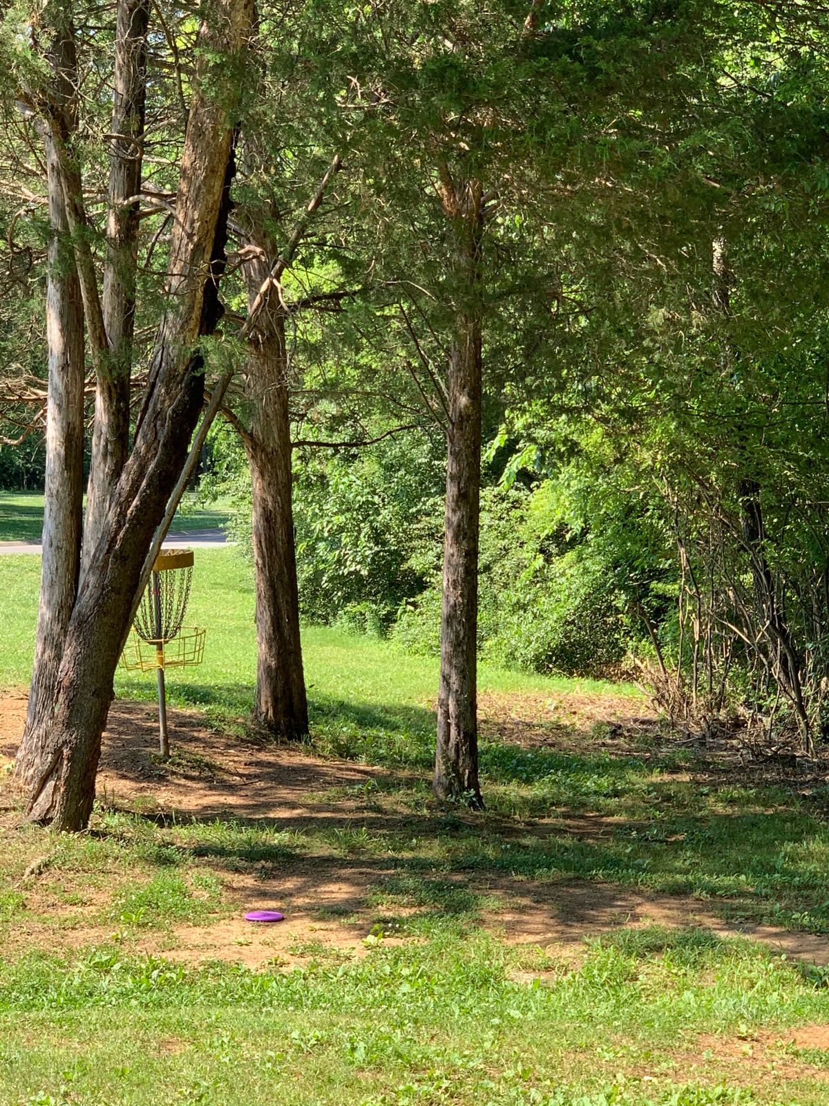 Hole 8