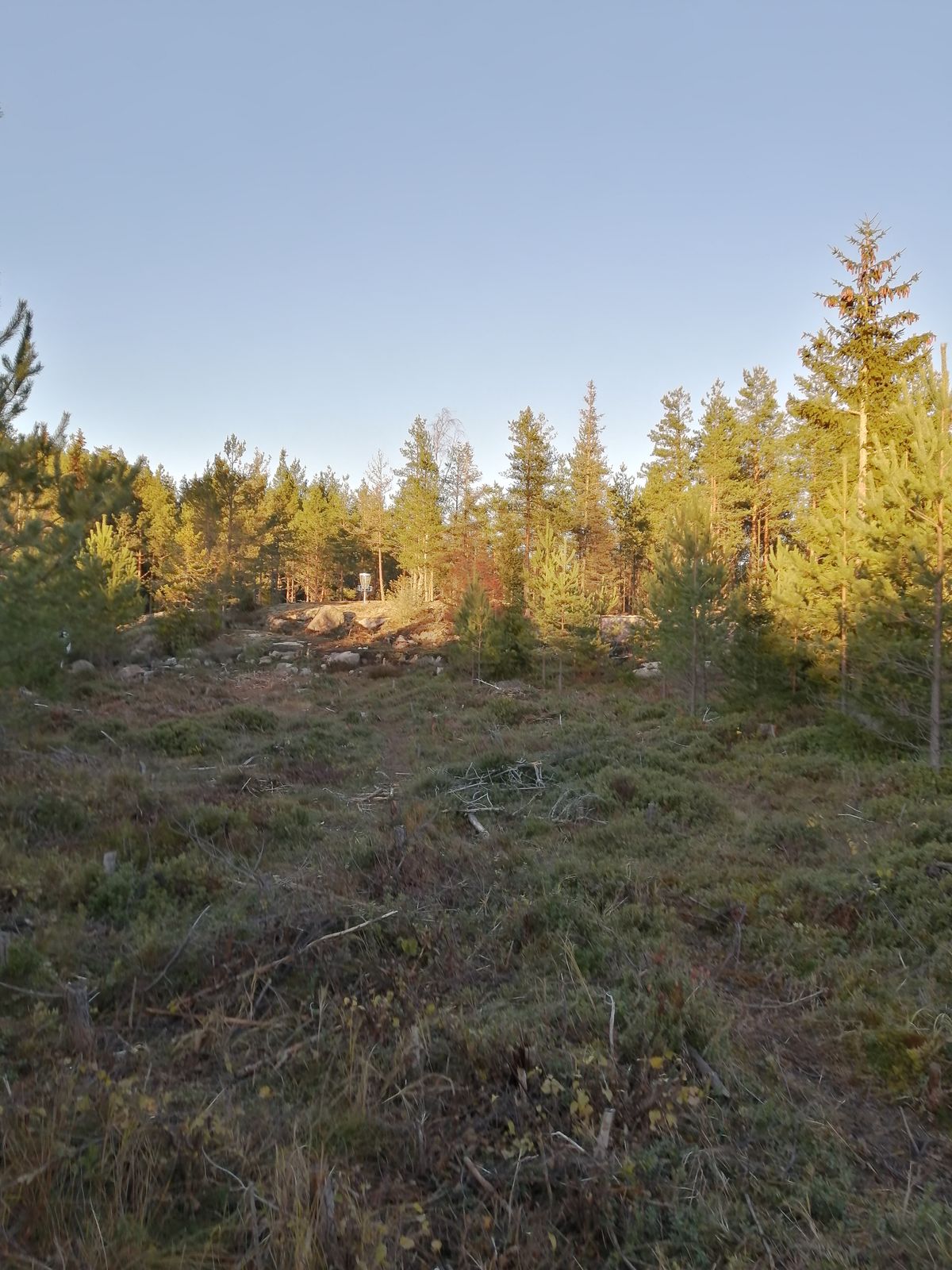 15. Väylä