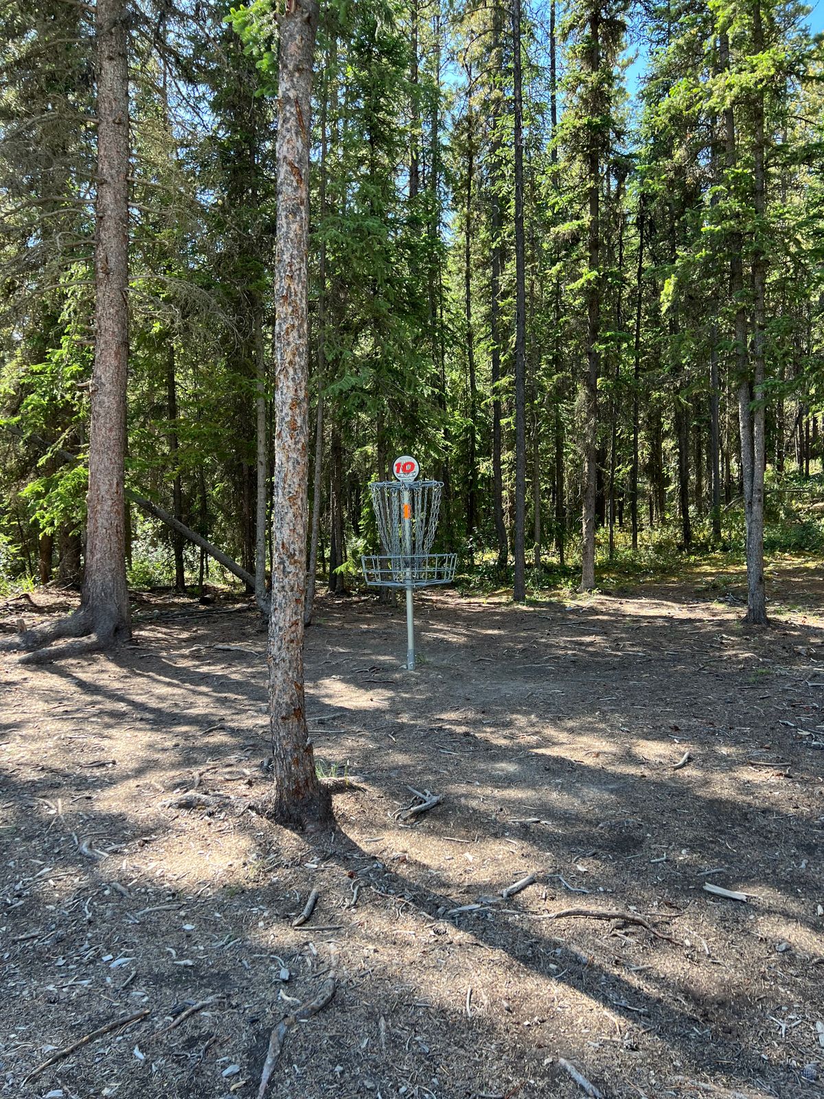 Hole 10 basket