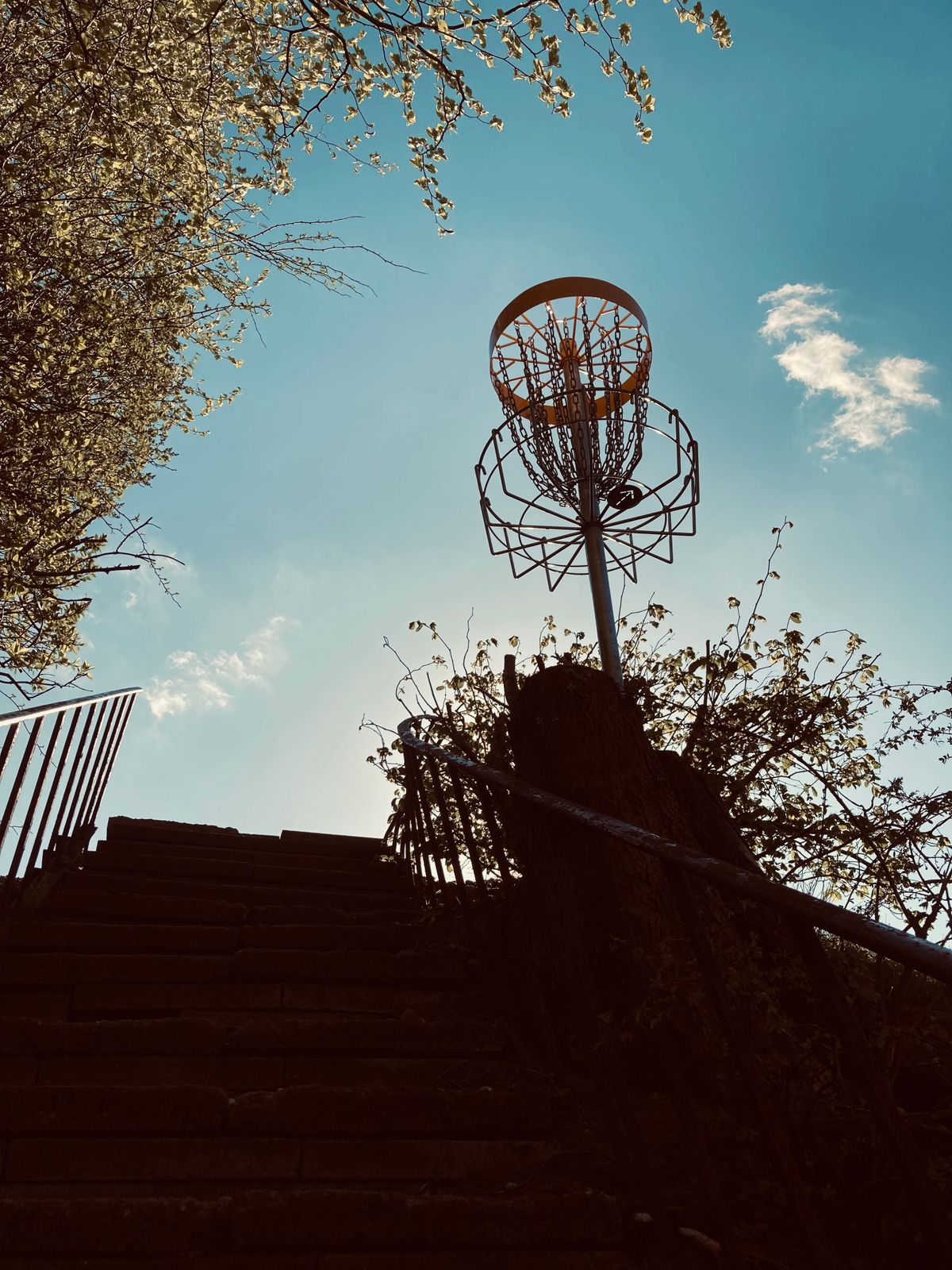 Ollerup Disc Golf Bane