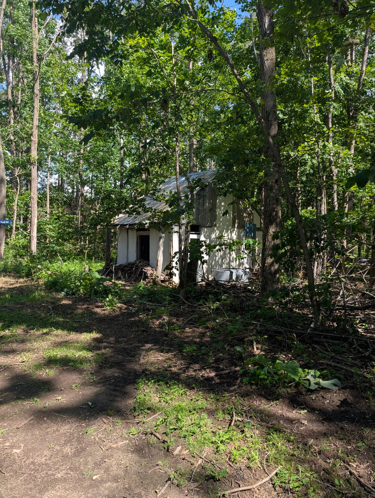 An old cabin on the 12th hole