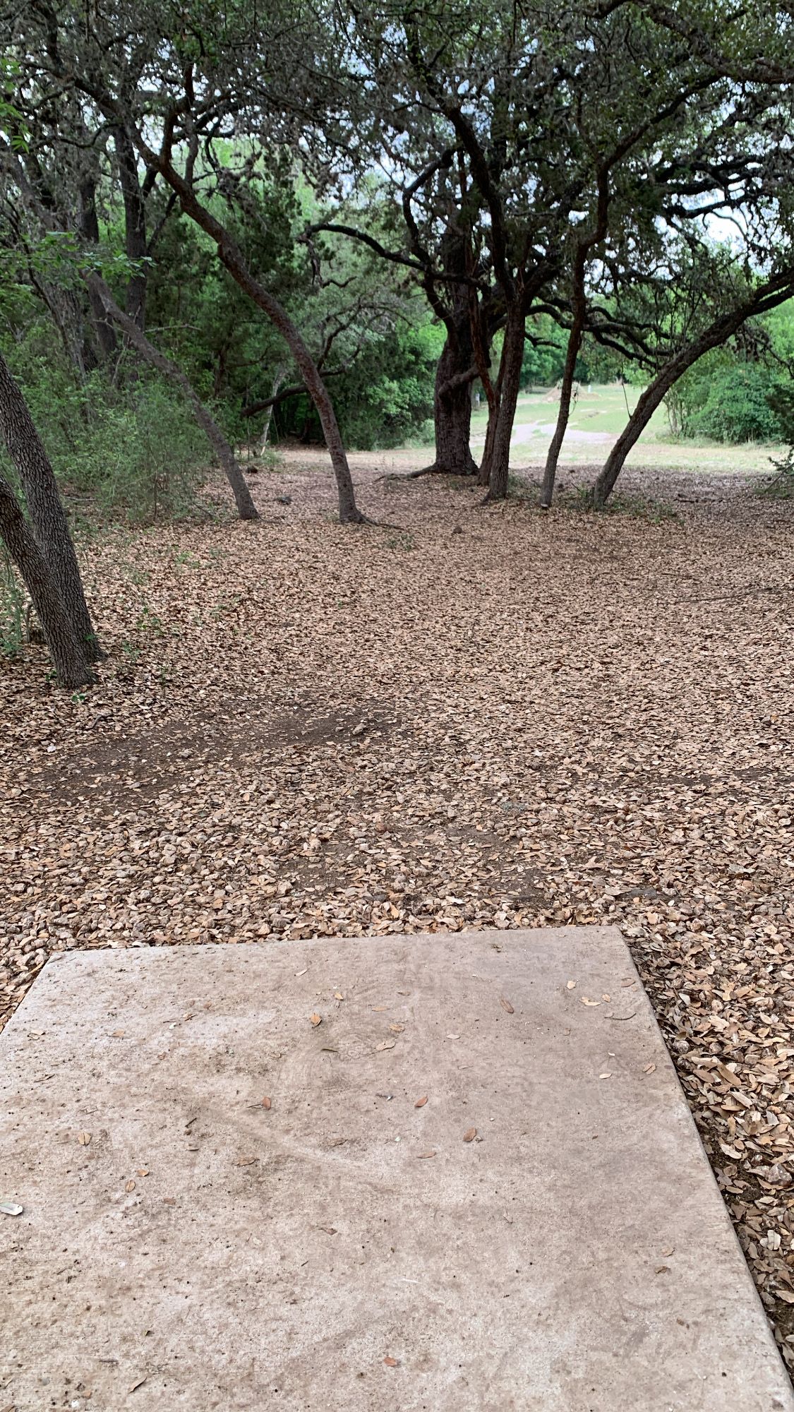 Hole 7