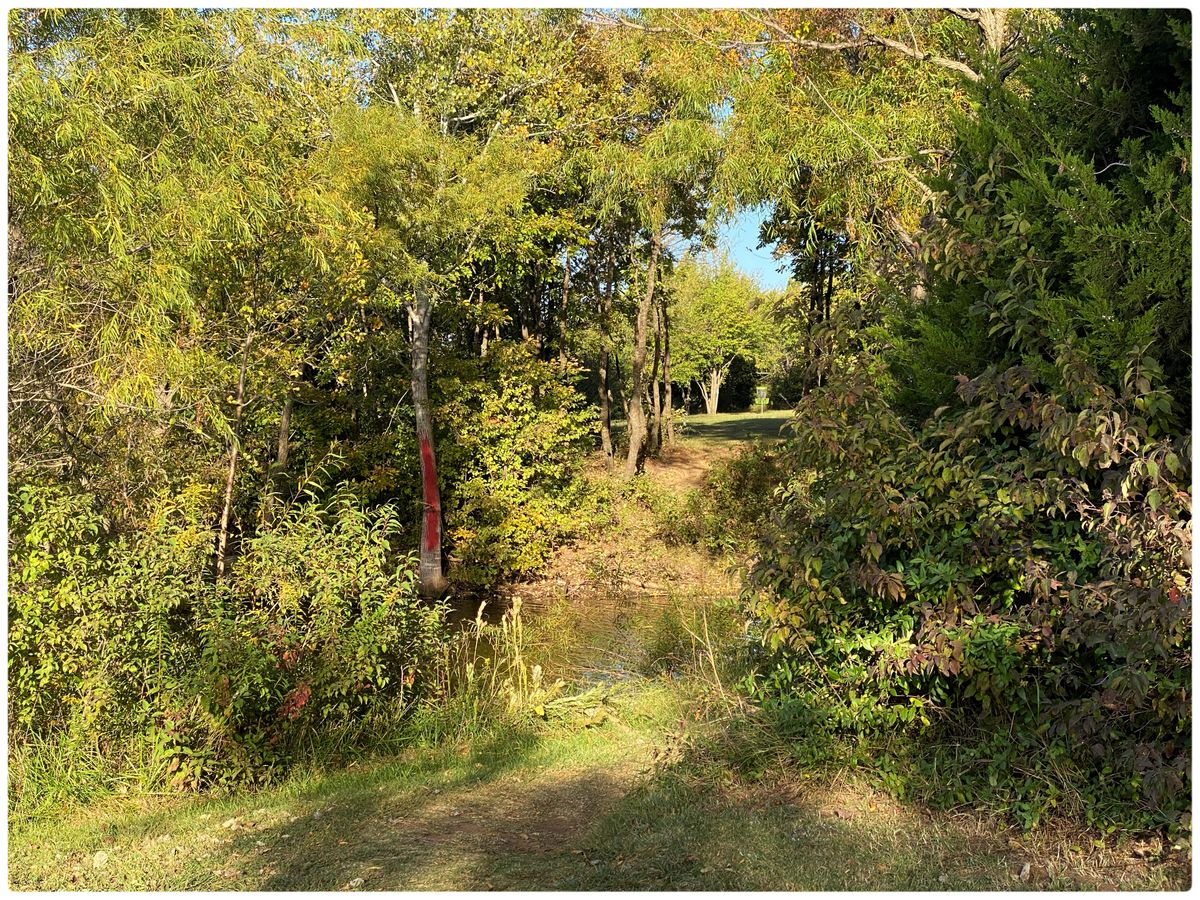 #11 main Tee- closer look at gap and bit of lake