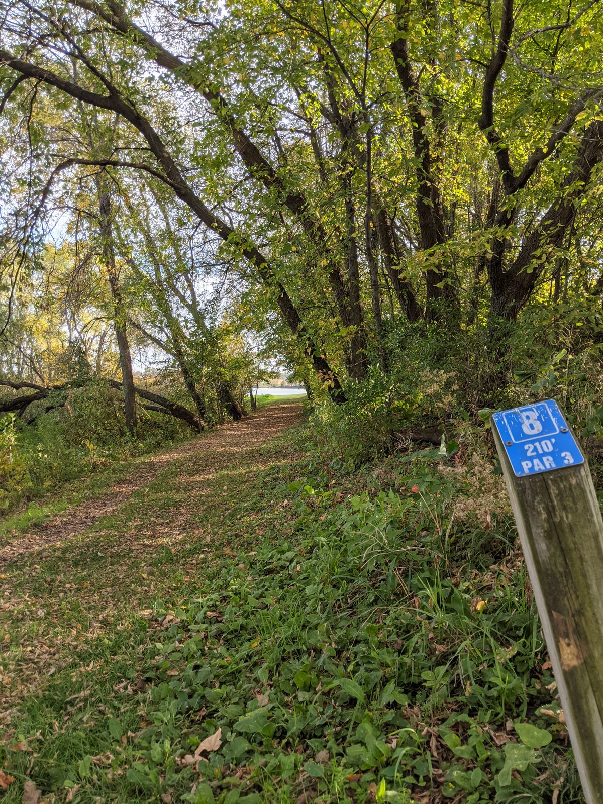 Hole 8