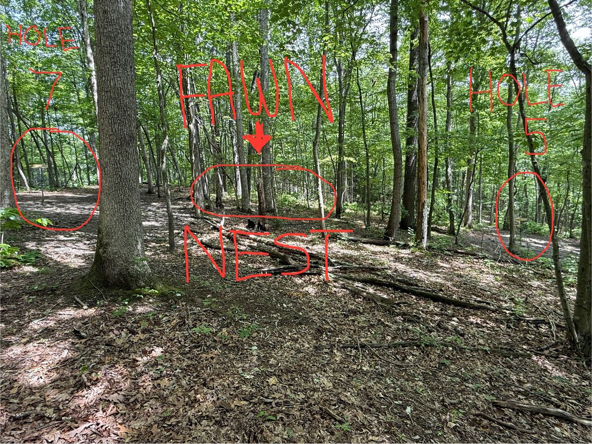 Located between hole 5 & 7 
Located in the brush, throwers right at the end of hole 5.