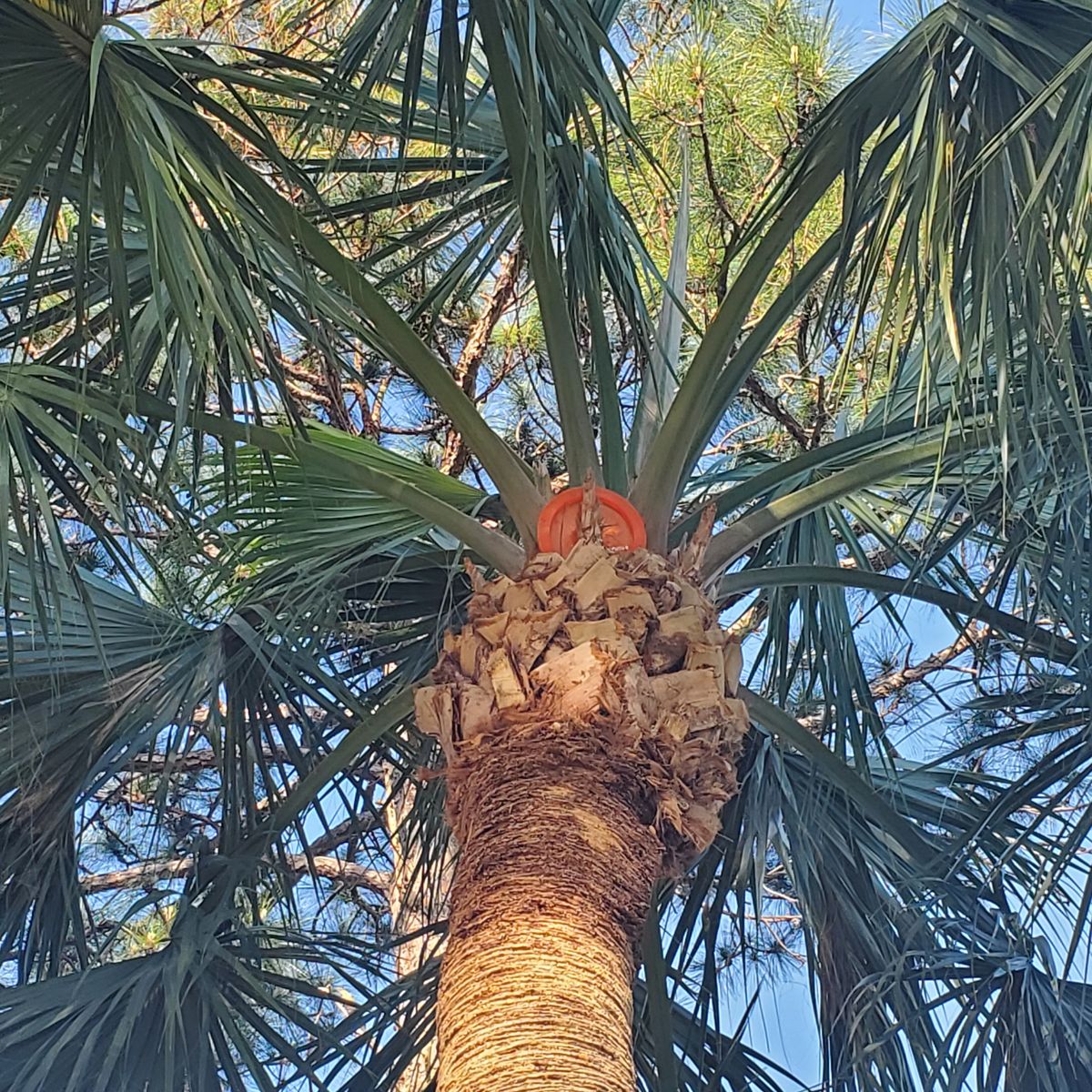 Um.....little help?!?