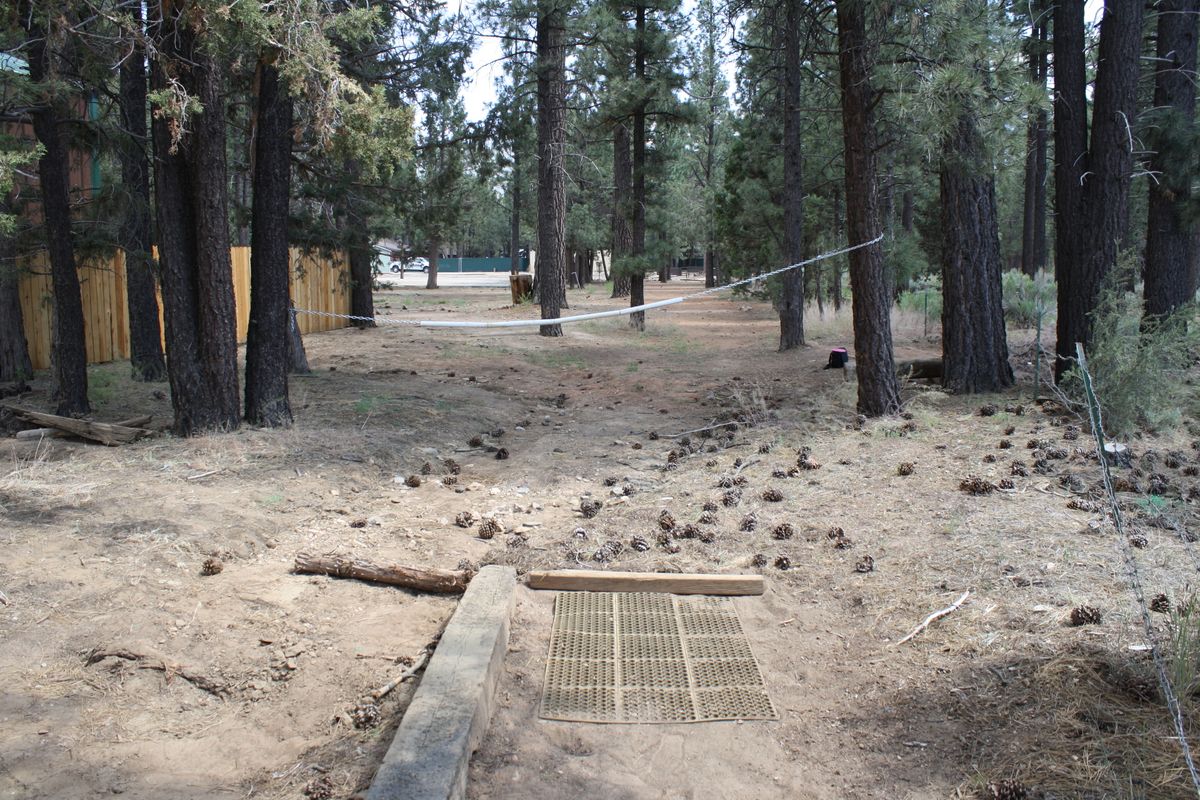 Hole 7 long tee