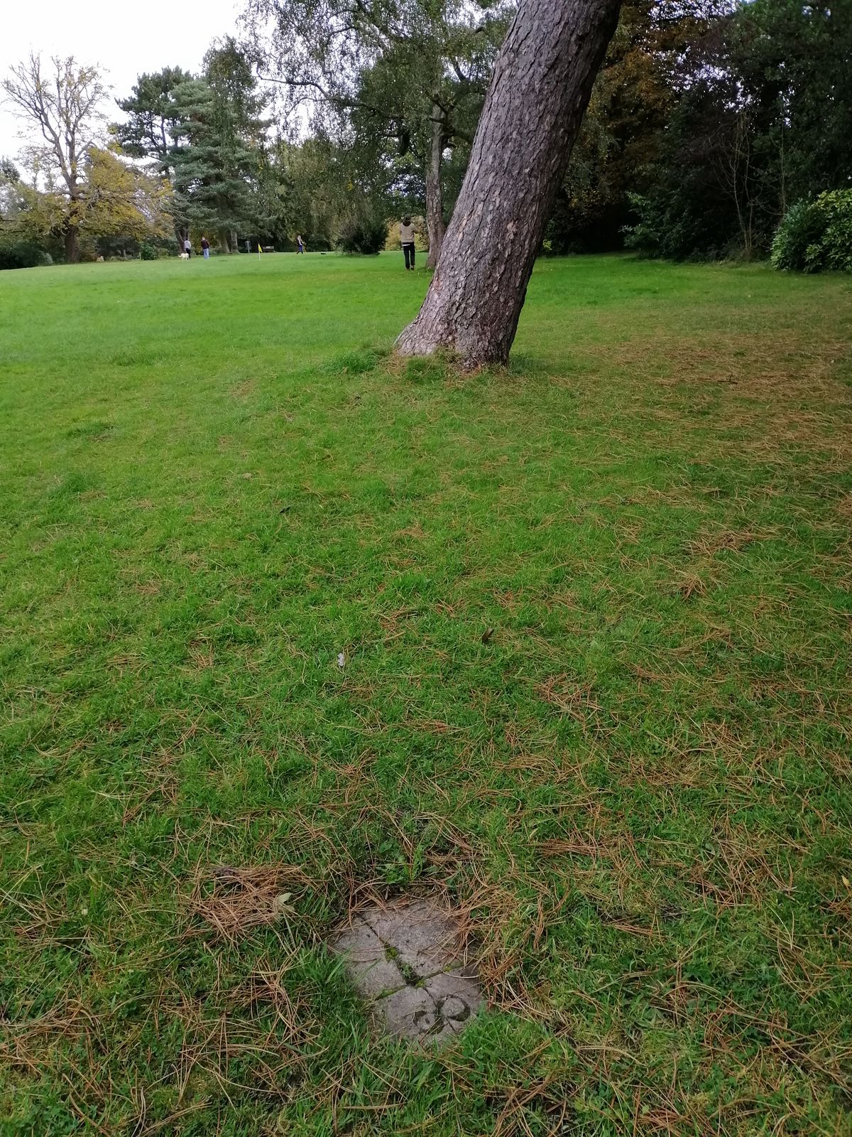 Location of pad 8