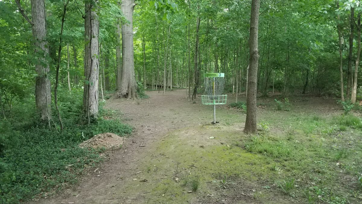 Looking back from the long position