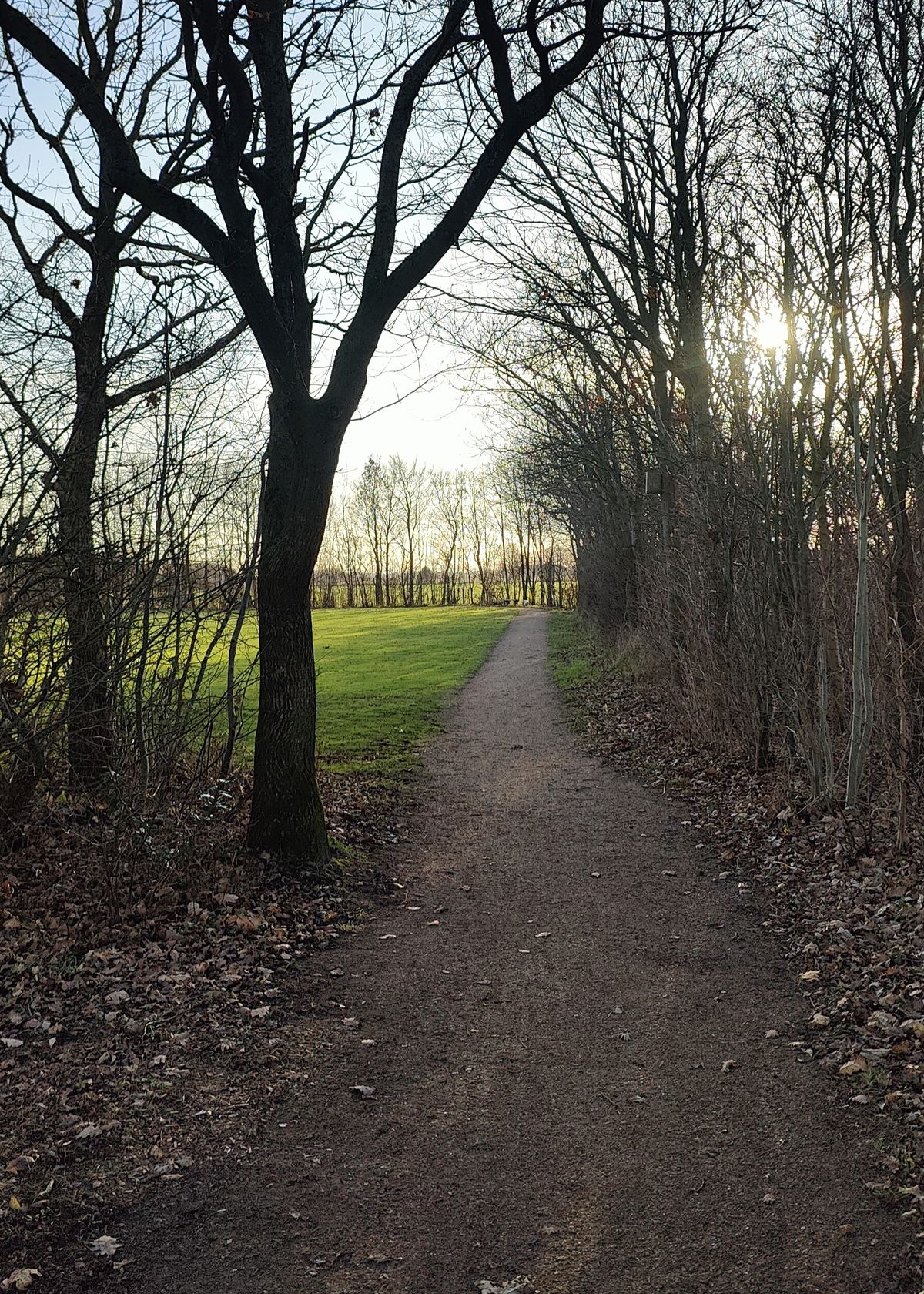 Mando på hul 4 - Man skal med stien mod kurven, dvs. højre om træet