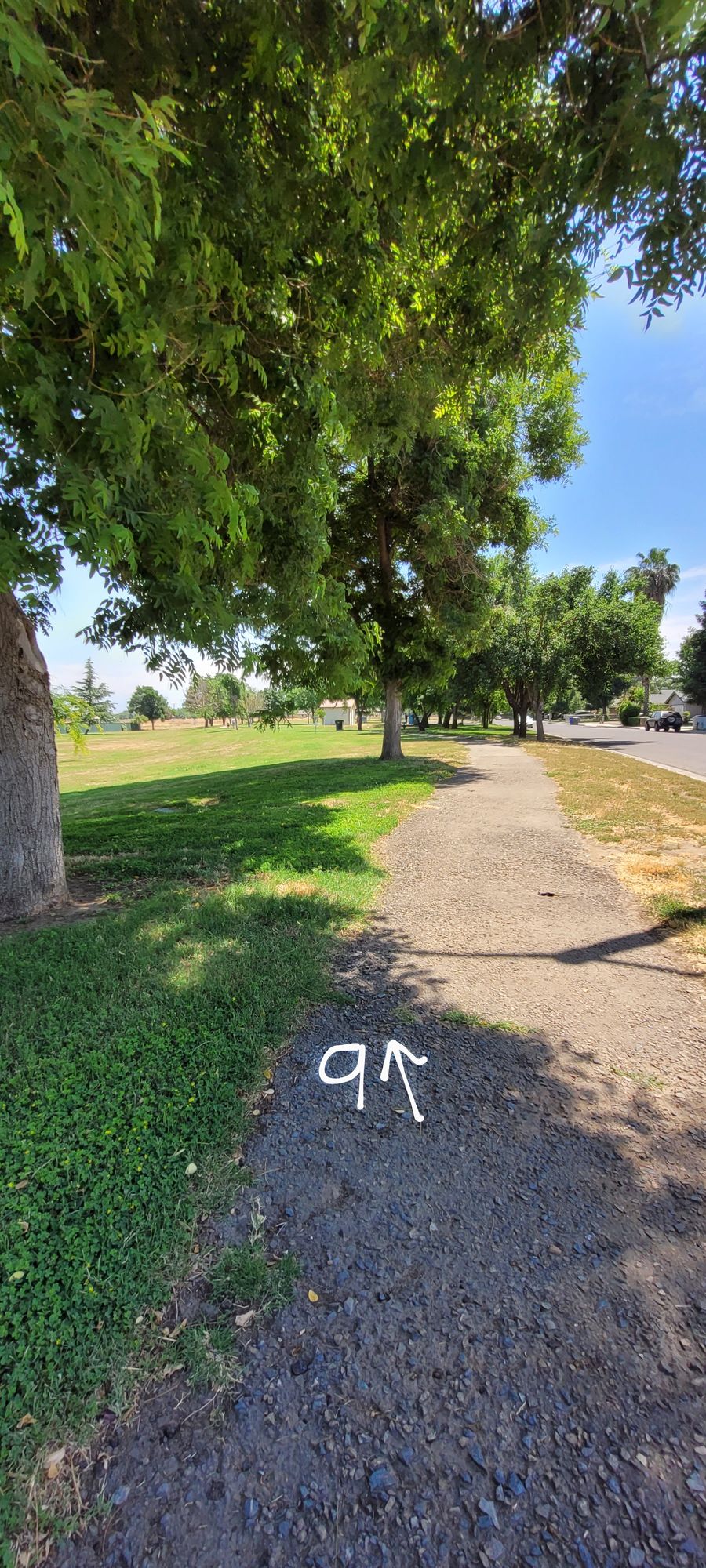 Tee Pad 9B.   Double Mando