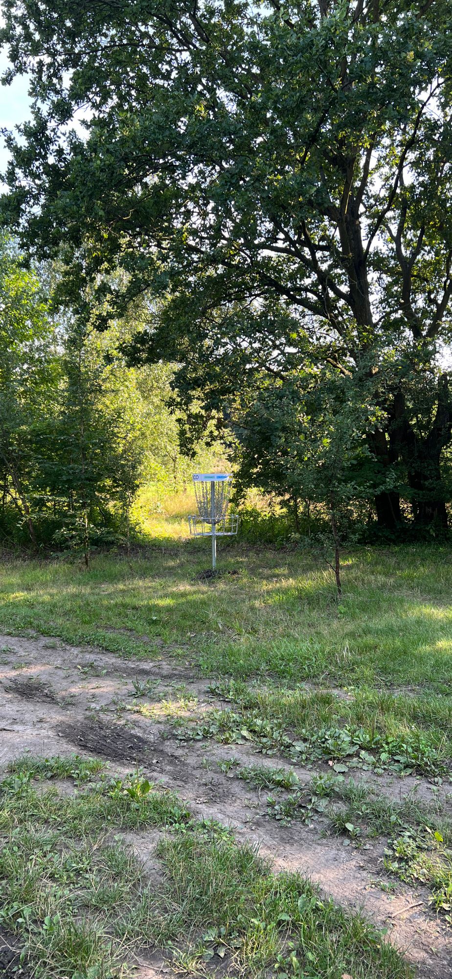 Target #3