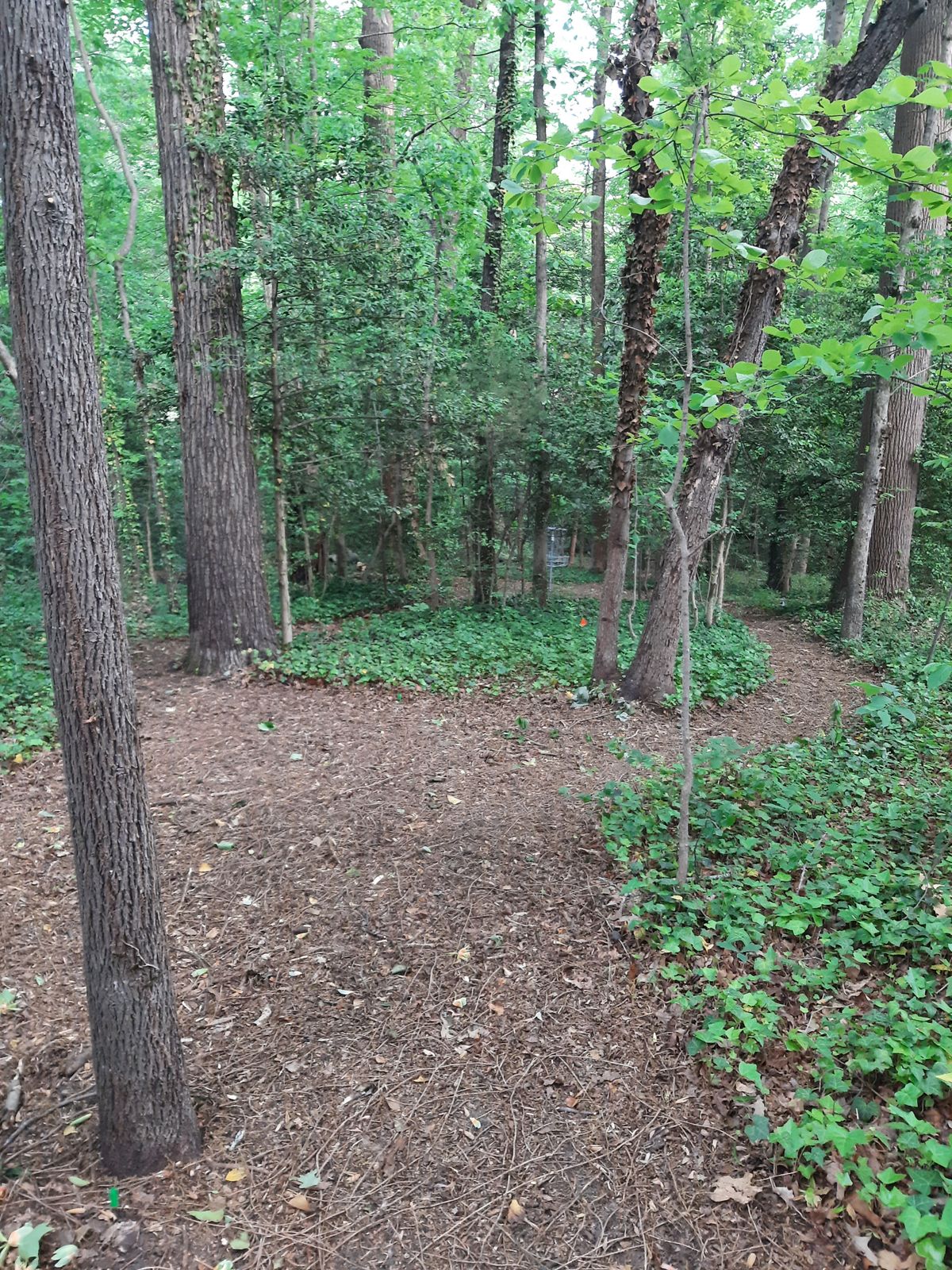 Hole 12 White Tee Right