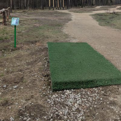 Hole 1 at the Järve Algaja 7 course.