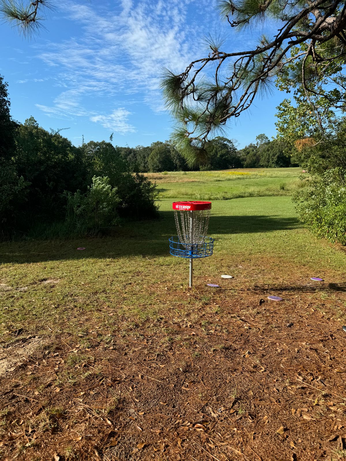 Hole 1 basket