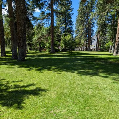 Hole 7 - 242' - Behind the large tree and bush